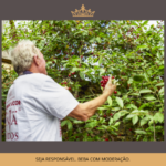 licor de ginja vila das rainhas