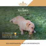 licor de ginja vila das rainhas