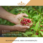 licor de ginja vila das rainhas