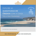 ginja vila das rainhas