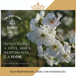 ginja vila das rainhas